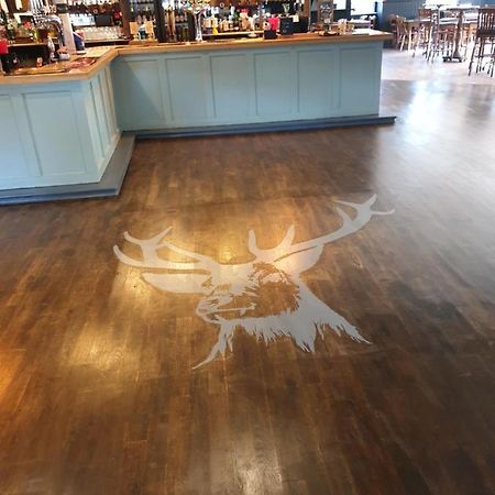 The Roebuck Inn Southampton Kültér fotó