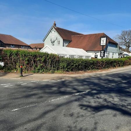 The Roebuck Inn Southampton Kültér fotó
